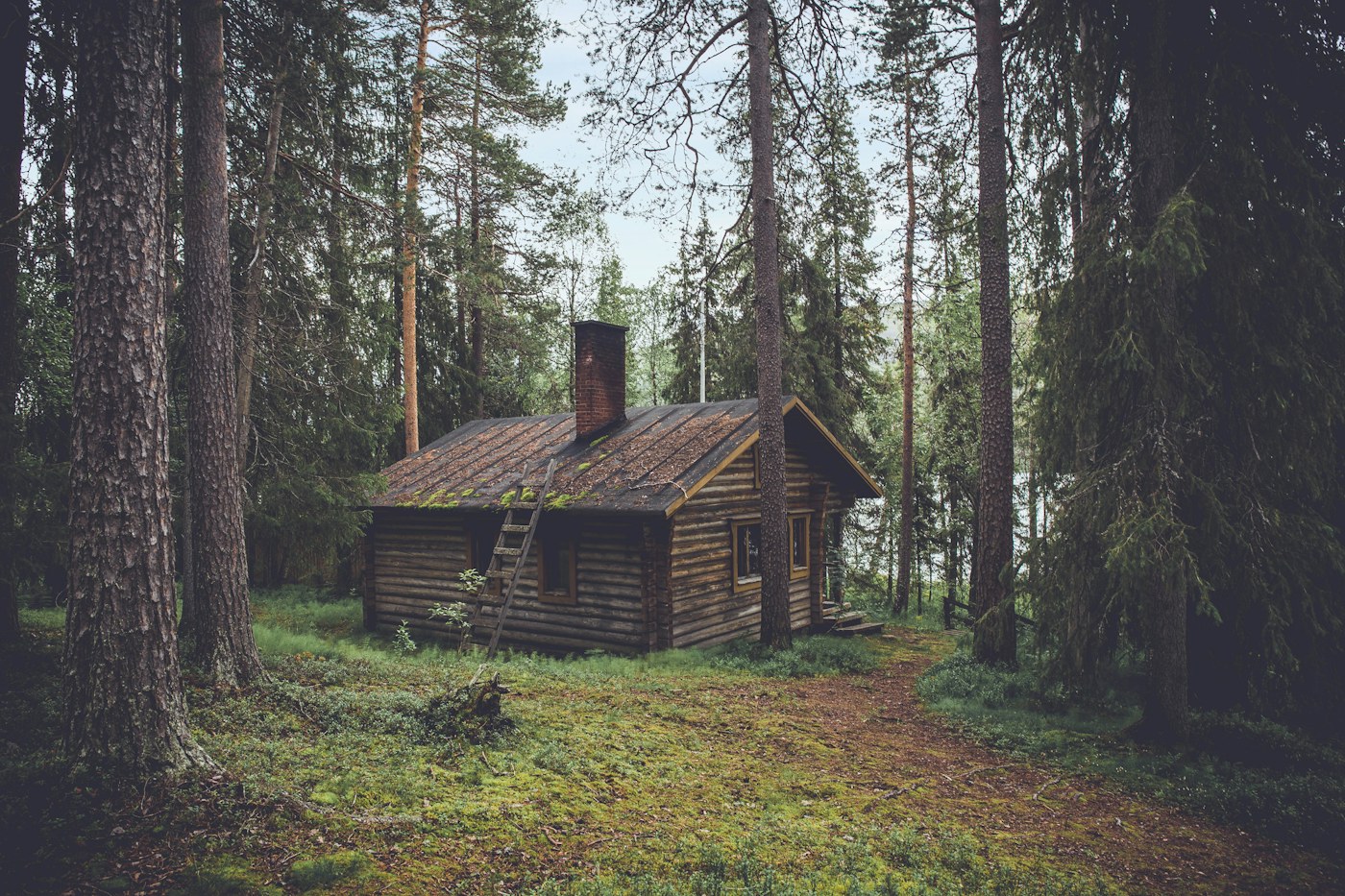 The Laurel Hideout — cabin style inspiration for London, Kentucky